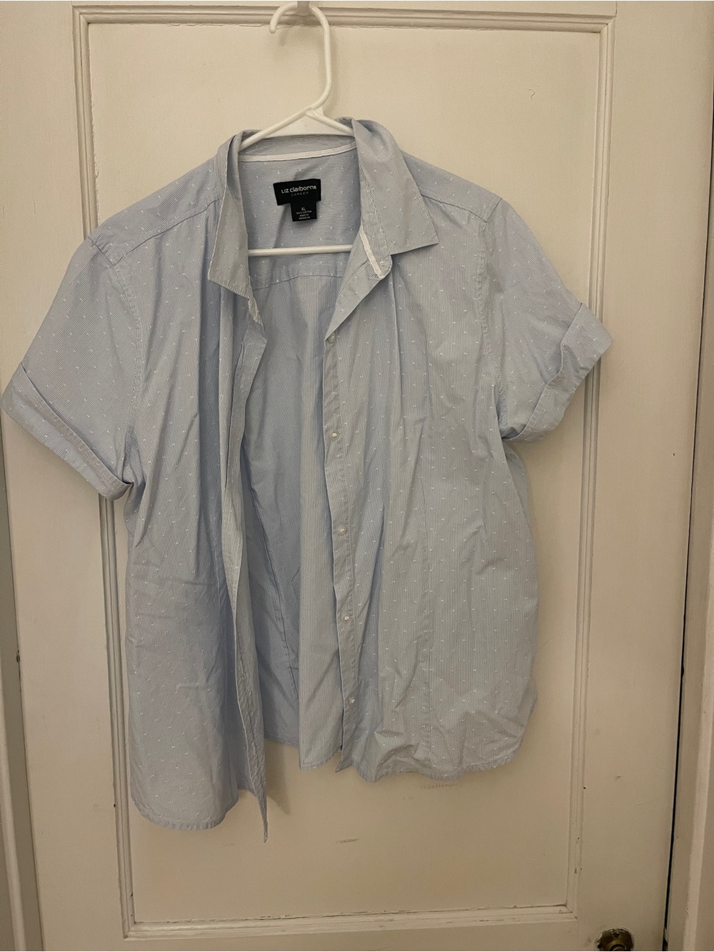 Liz Claiborne Pale Blue Short-Sleeve Button-Down with Subtle Dot Print